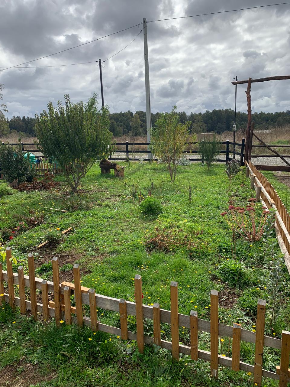 Venta Parcela Villarrica - La Araucanía