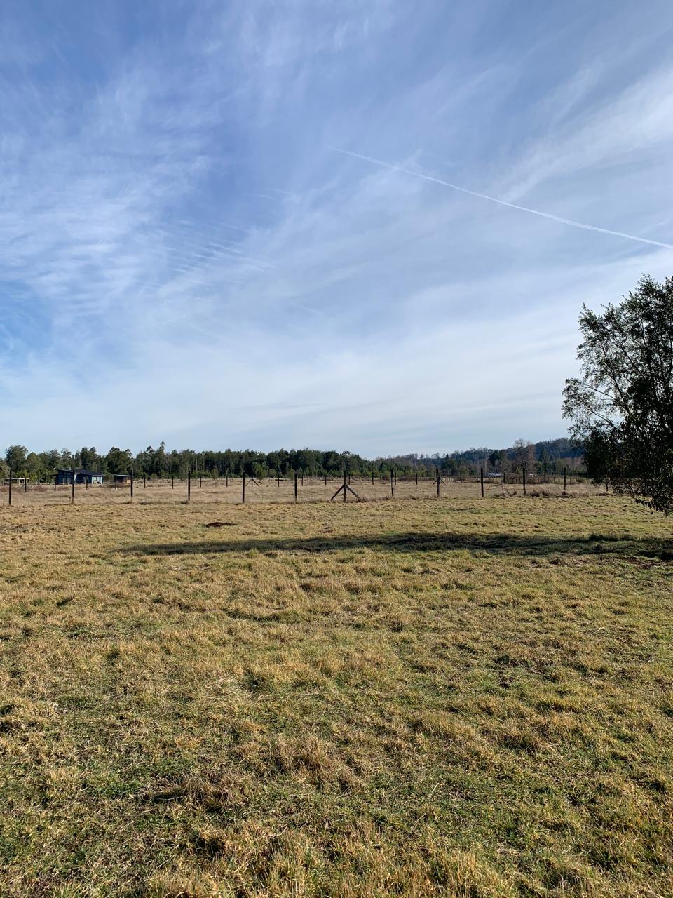 Venta Parcela Freire - La Araucanía