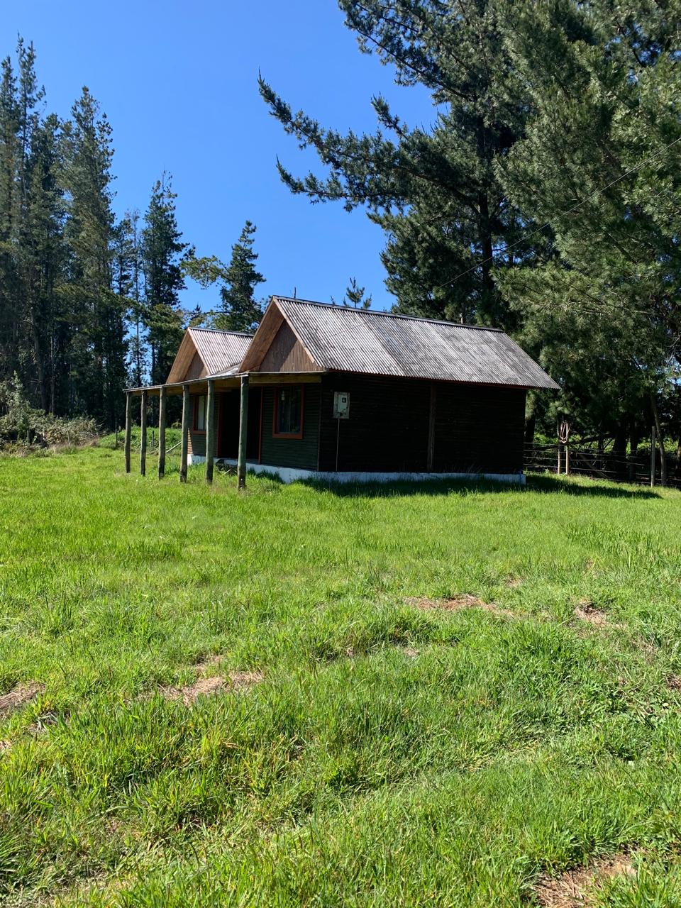 Venta Parcela Freire - La Araucanía