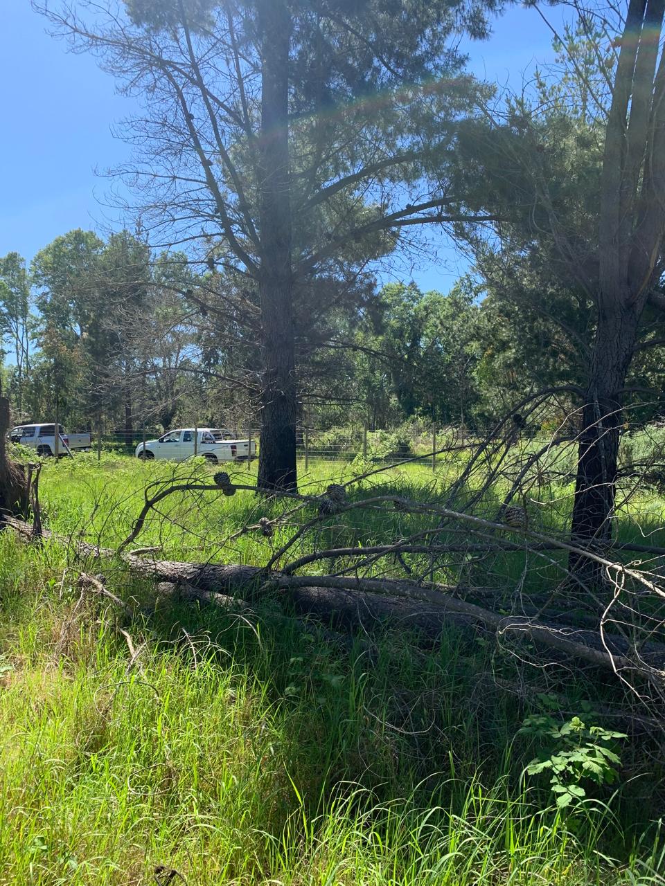 Venta Parcela Freire - La Araucanía