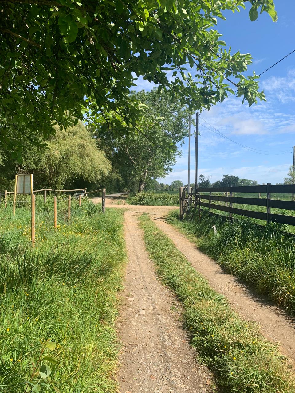 Venta Parcela Freire - La Araucanía